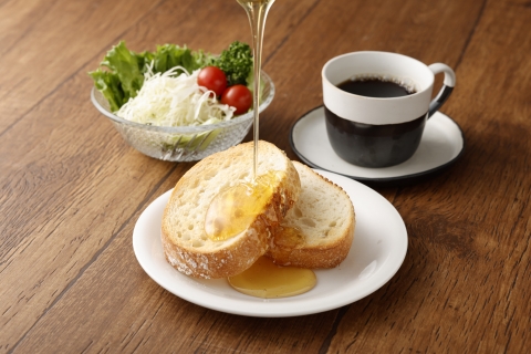 最高級で希少！臼杵産の純粋百花蜂蜜★ニホンミツバチのはちみつ（約４５０g）