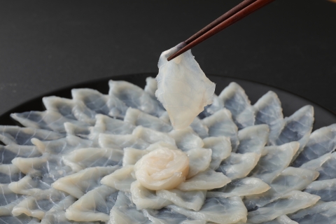 【年内・年末年始発送可】臼杵トラフグ刺しふぐ鍋セット（4～5人前）［冷蔵］ふく亭別館・高島水産