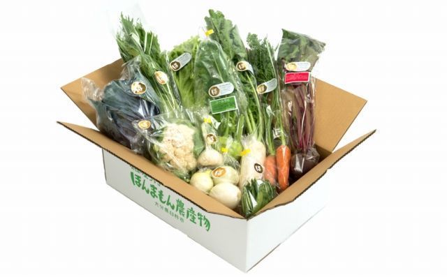 化学合成農薬等不使用！安心安全な「ほんまもん野菜」を10品目前後お届け♪