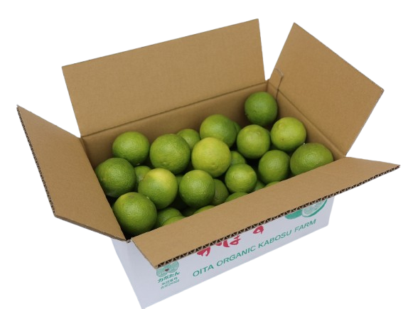 安心安全♪有機JAS認証のカボス青果（2kg）