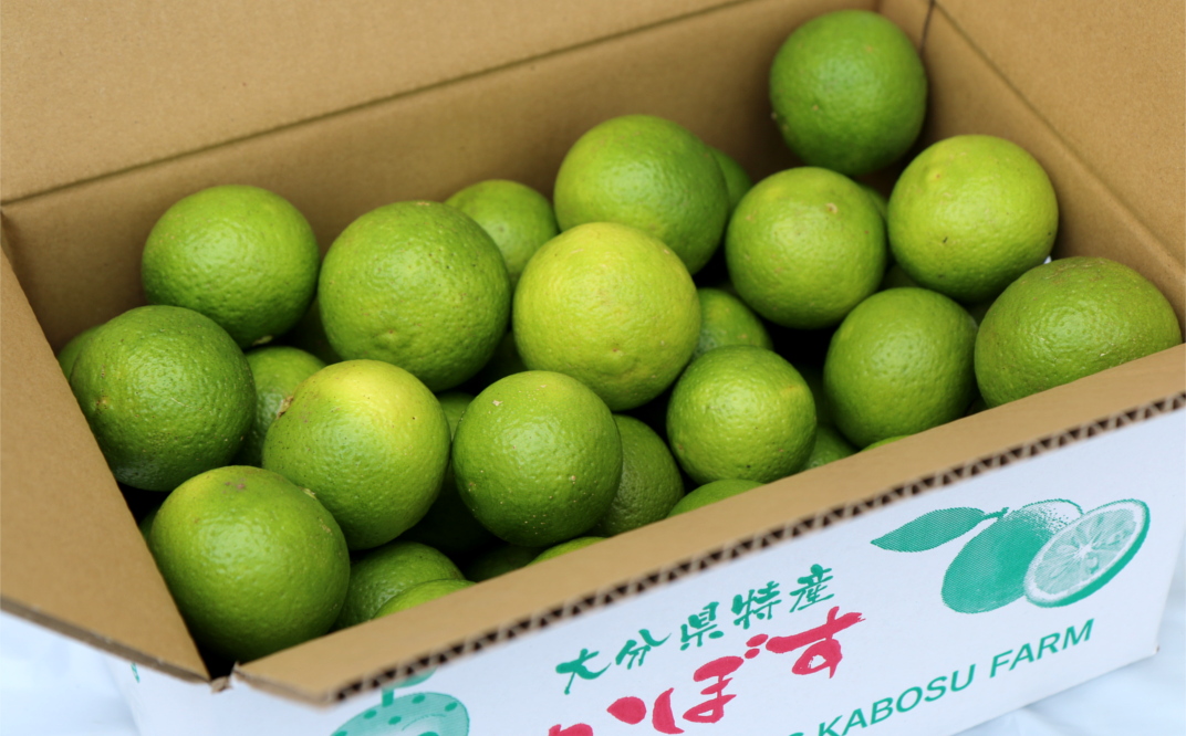 安心安全♪有機JAS認証のカボス青果（4kg）