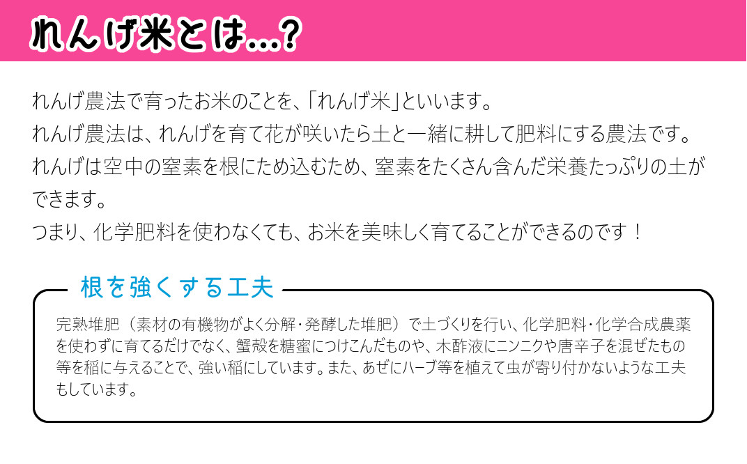 【令和7年度産】 《玄米》佐々木さんの「れんげ米」（2kg）