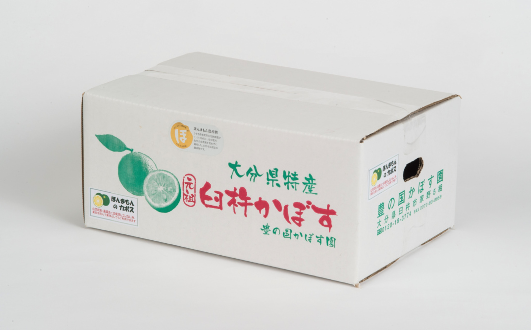 種が少ないから使いやすい！佐々木さんの「種なし（小種）カボス」約4kg