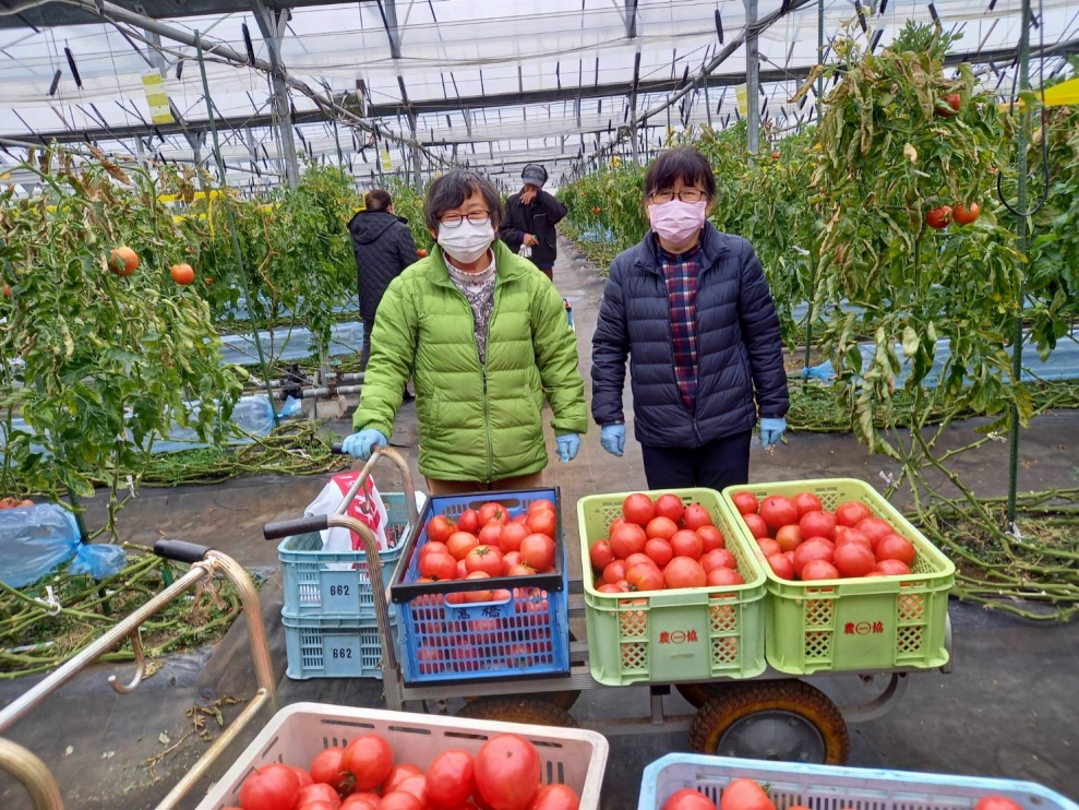 【四季菜彩】採れたて完熟トマトの「トマトケチャップ」(3本)