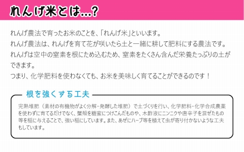 【令和7年度産】 《玄米》佐々木さんの「れんげ米」（5kg）