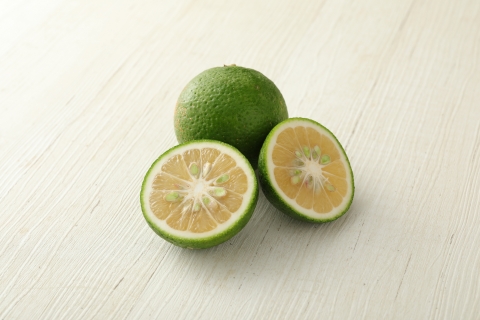 万能果汁！有機JAS認証かぼす果汁（500ml）3本セット