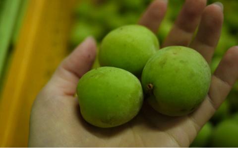 臼杵産のカボスをブレンドした梅酒「かぼすと梅酒のものがたり」720ml×2本