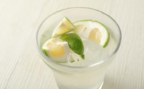 炭酸で割るだけ！かぼす発祥の地からお届けするかぼすサワーの素（計1L）