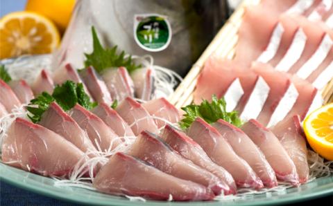 【年内・年末年始発送可】 こんなブリ食べたことない！？「うすき産かぼすブリ」（1本）