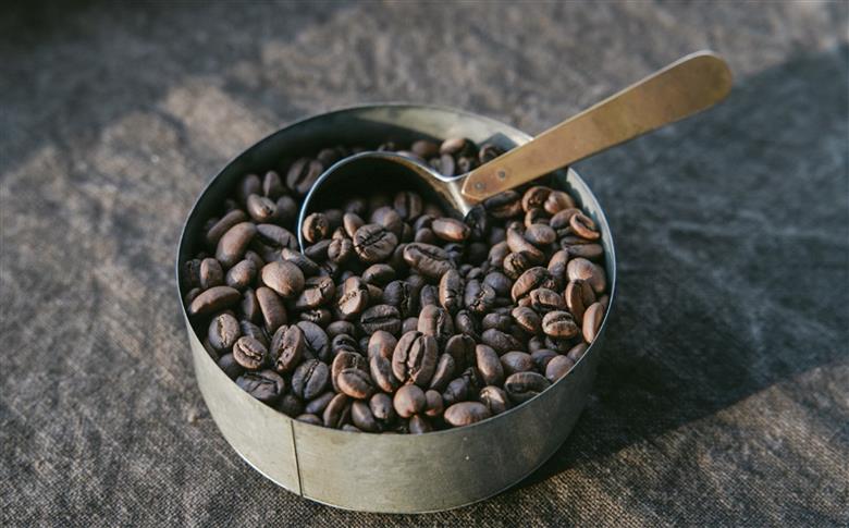 スペシャルティーコーヒー専門店 suzunari coffeeオリジナル3種のアソートセット（100g×3）【粉】