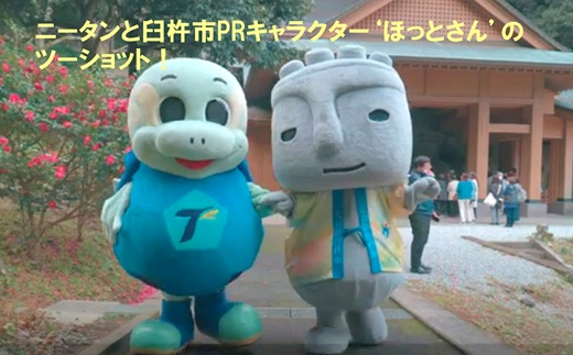 【大分トリニータ】公式マスコットぬいぐるみ　“メガ”ニータン（150㎝）