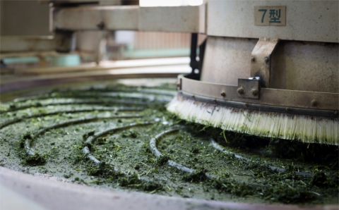 贅沢に有機緑茶を飲み比べてください！髙橋製茶の「みのりの茶」ギフトセット