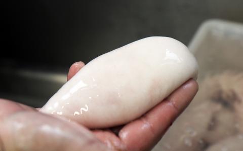 【年内・年末年始発送可】臼杵トラフグ刺しふぐ鍋セット（4～5人前）【白子付】［冷蔵］ふく亭別館・高島水産