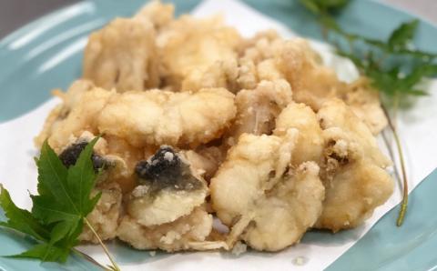 【年内・年末年始発送可】鮮度と品質に自信あり！朝〆新鮮！トラフグ贅沢ぶつ切り（約600g）［冷蔵］木梨ふぐ