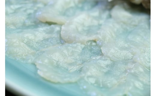 最高級の天然物！トラフグ刺しふぐ鍋セット（3～4人前）［冷蔵］臼杵湯の里