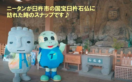 【大分トリニータ】公式マスコットぬいぐるみ　“メガ”ニータン（150㎝）