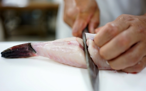 【年内・年末年始発送可】ふぐ専門卸会社直営！職人の技が光る！ふぐ良　トラフグ刺し（2～3人前）［冷蔵］三共水産