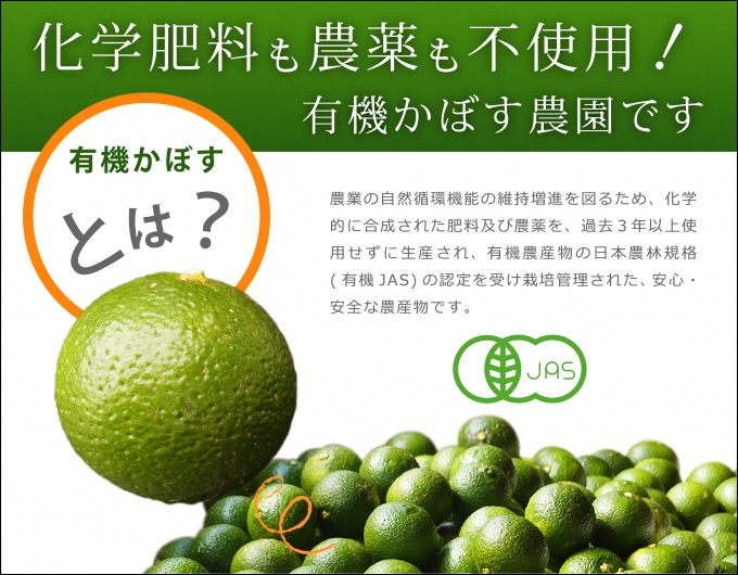 安心安全♪有機JAS認証のカボス青果（10kg）