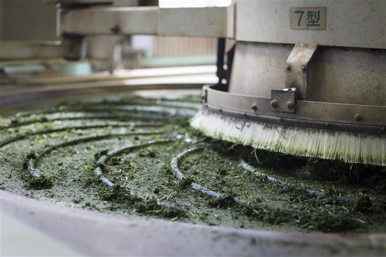 手軽に本格有機緑茶を淹れることができる「有機粉末緑茶」（30g×3袋）