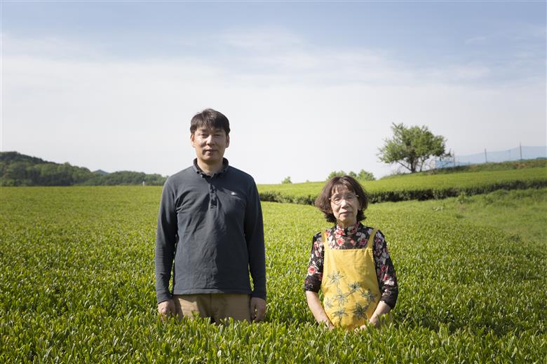 有機緑茶茶葉使用！玄米茶セット（計500g）