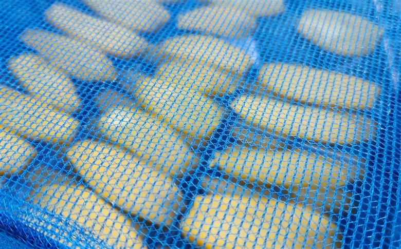 ぐらんまの天日干し芋（ごはん＆ヨーグルト専用）　べにはるか使用！添加物等不使用の体に優しいおやつ♪