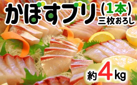 【年内・年末年始発送可】 こんなブリ食べたことない！？「うすき産かぼすブリ」（1本）