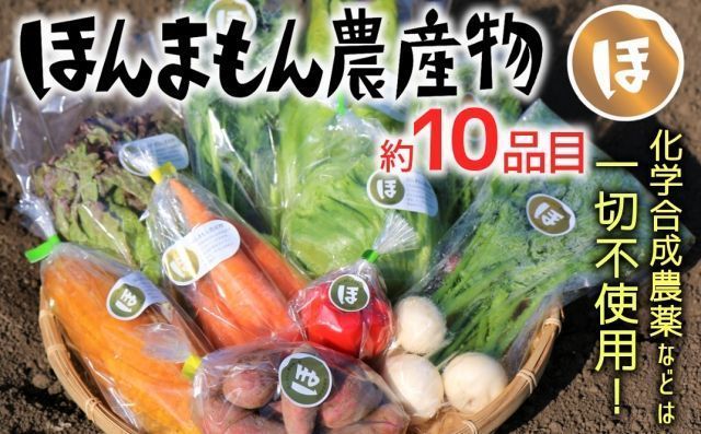 化学合成農薬等不使用！安心安全な「ほんまもん野菜」を10品目前後お届け♪
