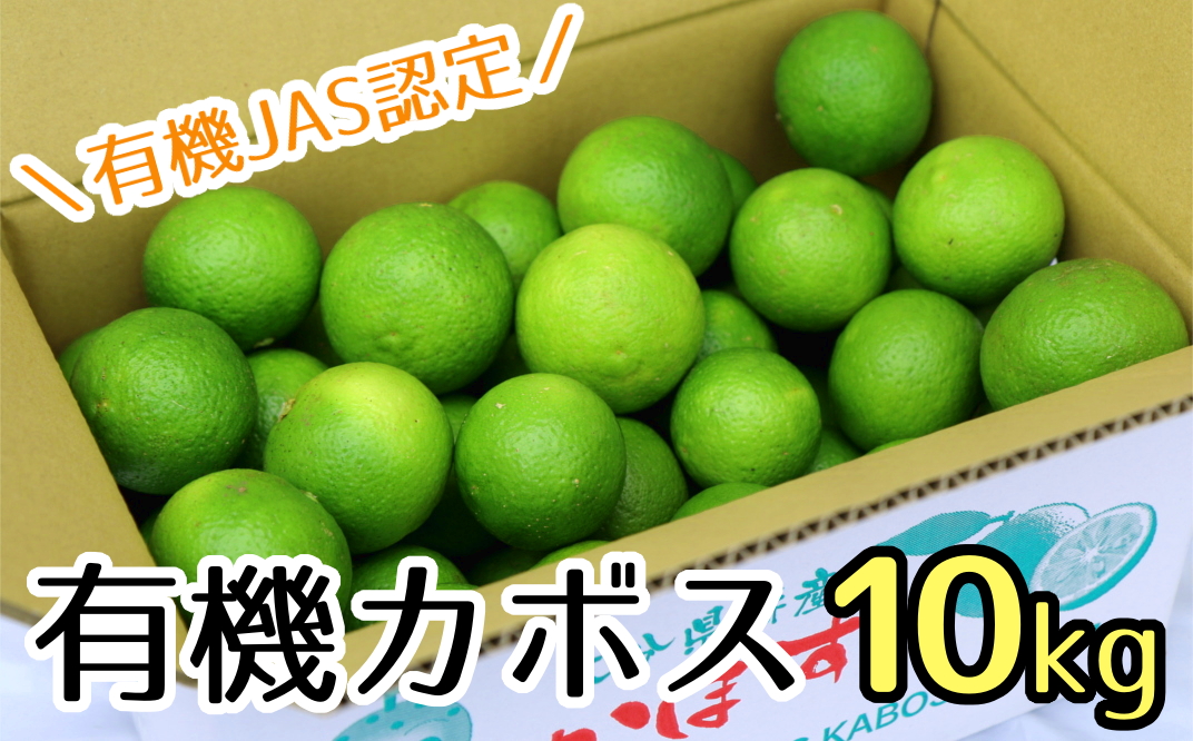 安心安全♪有機JAS認証のカボス青果（10kg）