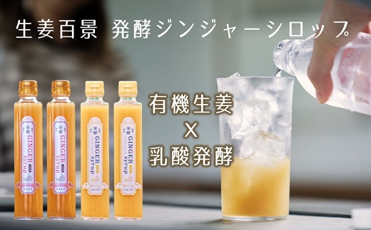 【生姜百景】発酵ジンジャーシロップ 4本セット