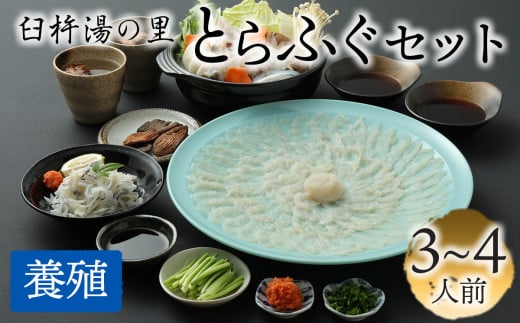 【年中発送可】鮮度と自家製ポン酢にこだわったトラフグ刺しふぐ鍋セット（3～4人前）［冷蔵］臼杵湯の里