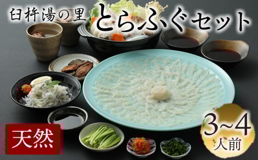 最高級の天然物！トラフグ刺しふぐ鍋セット（3～4人前）［冷蔵］臼杵湯の里