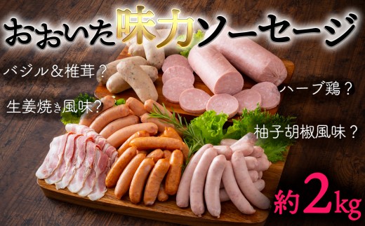 大分の"美味しい"で、お腹を満たすべし！おおいた味力ソーセージ（計2.28kg）