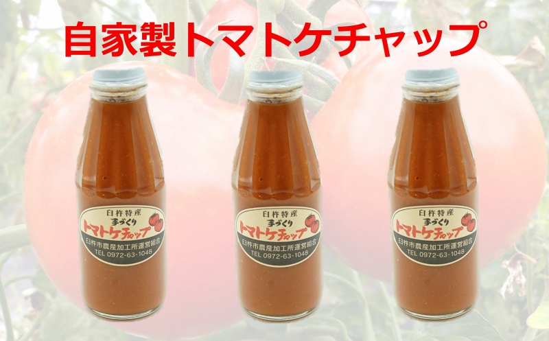 【四季菜彩】採れたて完熟トマトの「トマトケチャップ」(3本)