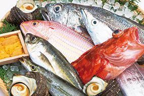 うすき豊後水道物語 豊後水道うすき地魚詰め合わせＡ