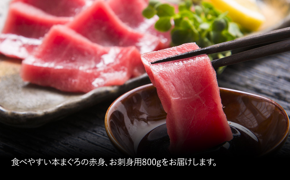 【本マグロ】 まぐろお刺身用 赤身5人前(800g) | 鮪 刺身 冷凍 大分県 九州 津久見市