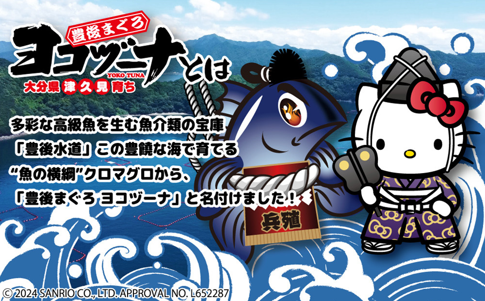 豊後まぐろ ヨコヅーナ  赤身400ｇ 中トロ400g | マグロ 刺身 冷凍 大分県 九州 津久見市 国産