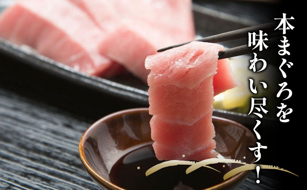 【本まぐろ】 お刺身用 中トロ5人前(800g) | マグロ 冷凍 大分県 九州 津久見市