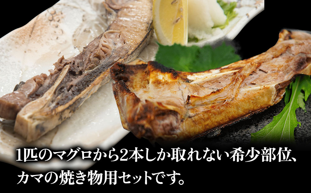 まぐろカマとカマのスライス焼き物セットまぐろカマ約400g×3 カマスライス約300g×2 大分県産 九州産 津久見市 熨斗対応
