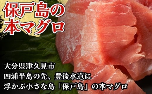 本まぐろ・まぐろ中トロ / 本まぐろ 保戸島産本まぐろの中トロ切り落し1パック (100g) | 本マグロ まぐろ冊 まぐろ切落 まぐろ刺身 まぐろトロ まぐろ保戸島 まぐろ豊後 マグロ中トロ まぐろ飯 まぐろ丼 maguro 　大分県 九州 津久見市