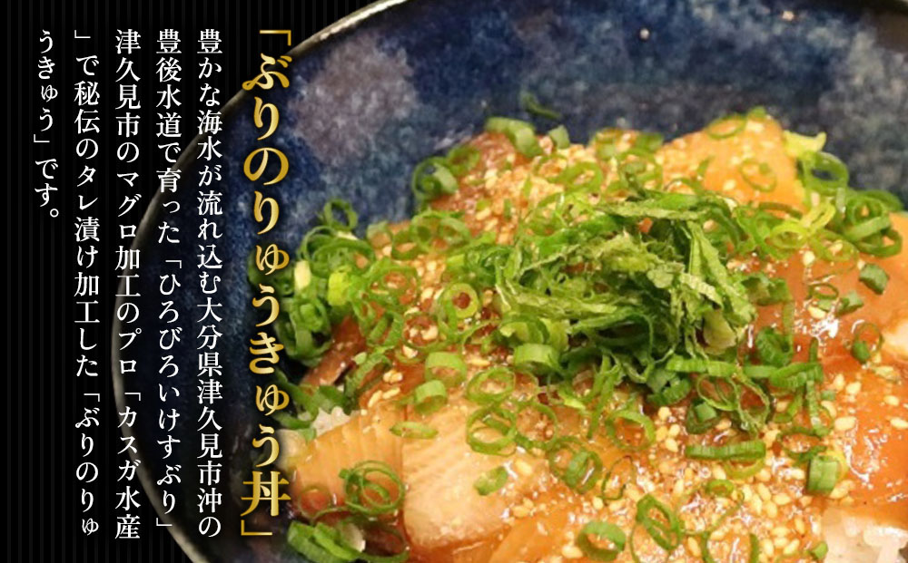 ぶり・まぐろの漬け丼（ひゅうが丼）セットぶりのりゅきゅう100g×4P・まぐろ(ひゅうが丼)120g×4P | 大分県 九州 津久見市