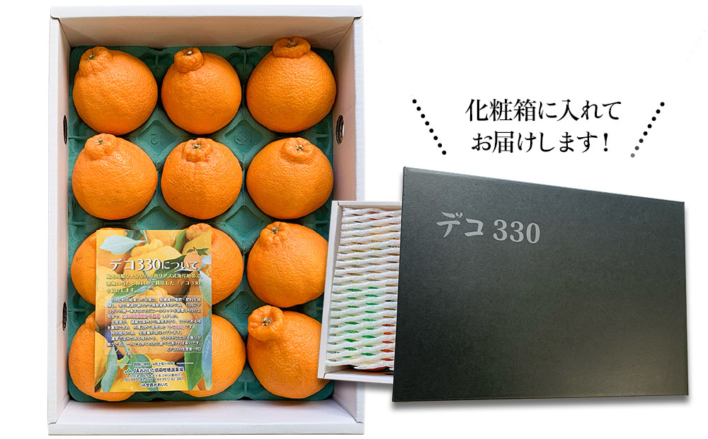 完熟みかん デコポン デコ330 約3kg | ミカン 大分県 九州 津久見市 国産