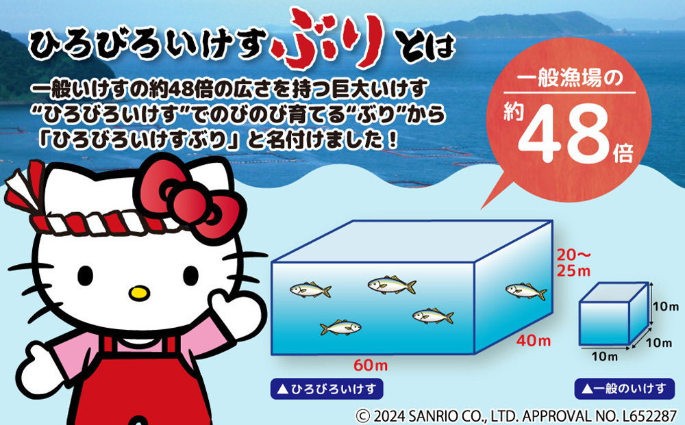 【先行予約】ひろびろいけすぶり(フィレ・片身)1枚 ※2月発送 | ぶり 刺身 大分県 九州 津久見市 国産