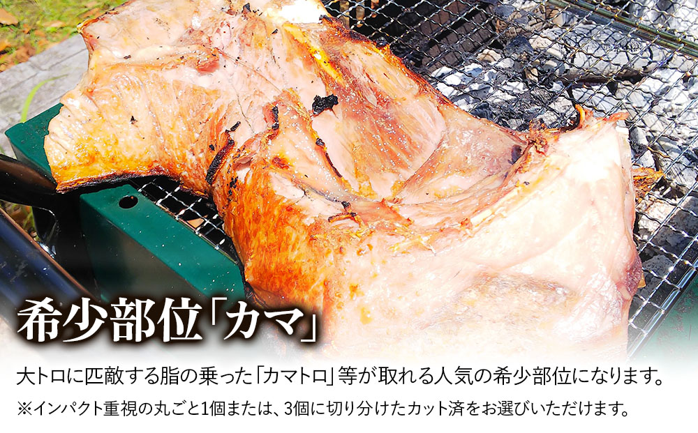 豊後まぐろ ヨコヅーナ カマ | マグロ かま 希少部位 冷凍 大分県 九州 津久見市 国産