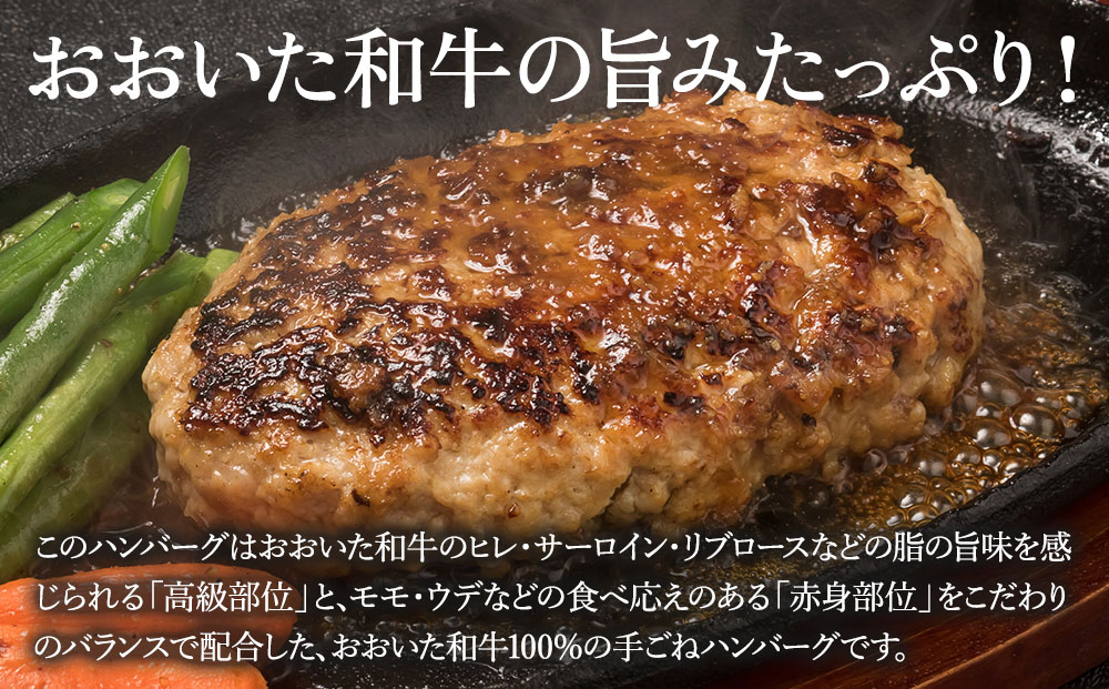 【おおいた和牛】 100％生ハンバーグ 150g×6個 | 牛肉 豊後牛 惣菜 冷凍 大分県 九州 津久見市 国産