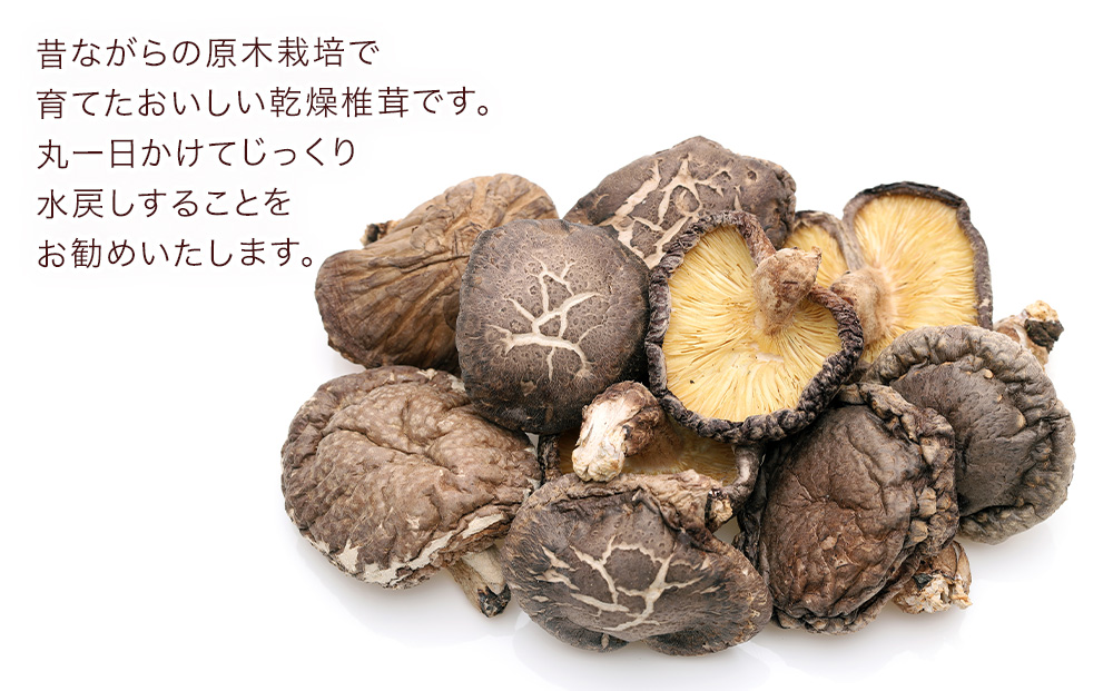 乾燥椎茸 上どんこ椎茸ギフト 140g | 干ししいたけ 大分県 津久見市 九州産 熨斗対応