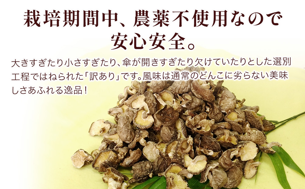 乾燥椎茸 訳あり 椎茸100g×5パック | 干ししいたけ 大分県 津久見市 九州産