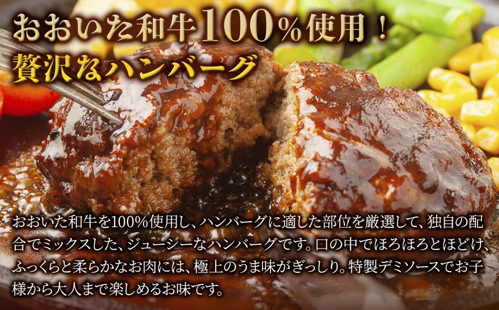 【おおいた和牛100%】 デミハンバーグ 約150g×10個 合計約1.5kg | 牛肉 豊後牛 惣菜 冷凍 大分県 九州 津久見市 国産