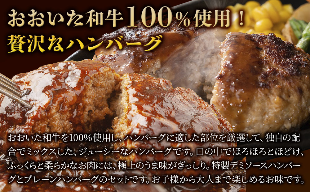 【おおいた和牛100%】 デミ＆プレーンハンバーグ 12個 合計約1.2kg | 牛肉 豊後牛 惣菜 冷凍 大分県 九州 津久見市 国産