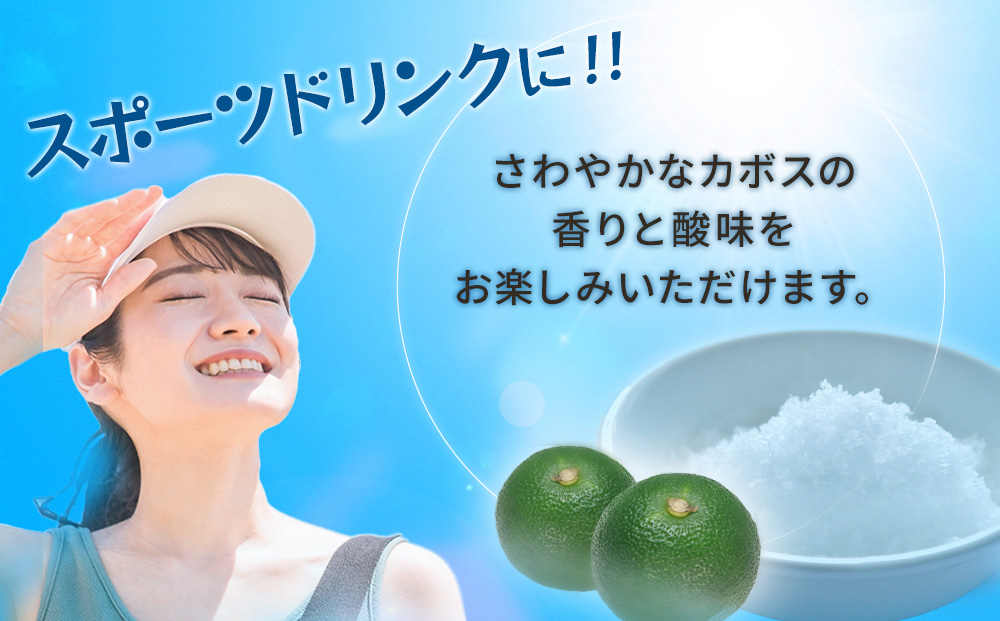 塩とカボス 495ml×24本 | ジュース 大分県 九州 津久見市 国産