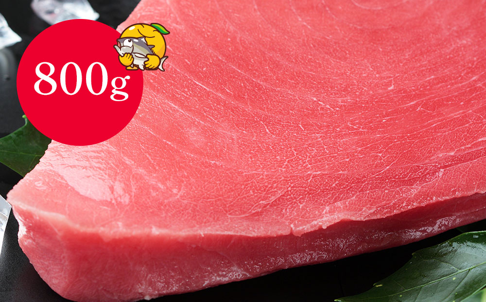 【本マグロ】 まぐろお刺身用 赤身5人前(800g) | 鮪 刺身 冷凍 大分県 九州 津久見市